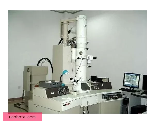 1984年美国忌讳第二部k8s技术探索与应用深度分析